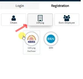 SSO ID Registration 4 SSO ID Registration for Udyog (Businesses)
